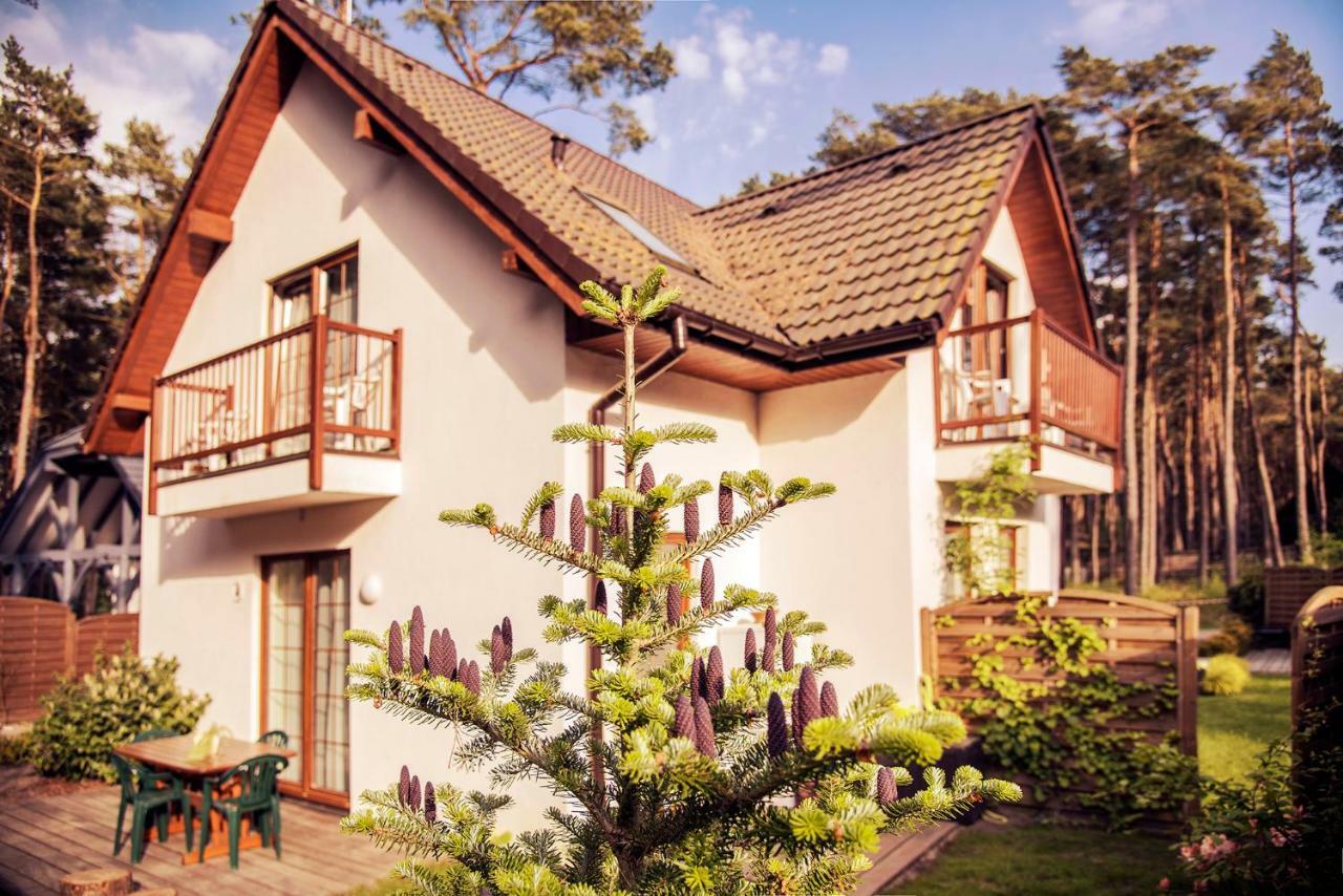 Urlop Przy Wydmach Apartment Miedzywodzie